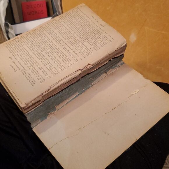 The Nasby Letters" were a series of satirical writings by David Ross Locke 1893 - Picture 11 of 13